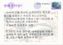 인간생활과 건축 건축의_공간(판테온) 3페이지