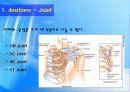어깨 (Shoulder) 4페이지
