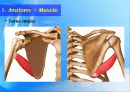 어깨 (Shoulder) 5페이지