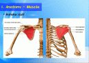 어깨 (Shoulder) 9페이지