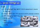 어깨 (Shoulder) 33페이지
