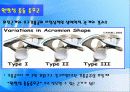 어깨 (Shoulder) 37페이지