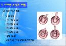 어깨 (Shoulder) 48페이지