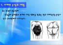 어깨 (Shoulder) 50페이지