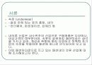 패션속옷 의류사업의 현황 (비너스,비비안,좋은사람들 비교분석) 2페이지