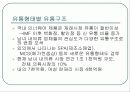 패션속옷 의류사업의 현황 (비너스,비비안,좋은사람들 비교분석) 4페이지