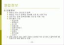 홈페이지 제작기획서(조합 시스템 구성) -  시스템 개발 방안(홈페이지 구축 기획안) 21페이지