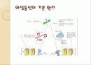 인공위성과 통신 16페이지