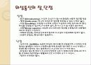 인공위성과 통신 17페이지