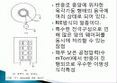 Dry Etching ECR-RIE 14페이지