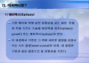 25LPE 4페이지