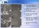 25LPE 22페이지