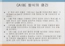 11Dry_Etching_CAIBE 13페이지