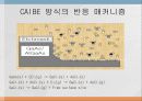 11Dry_Etching_CAIBE 14페이지