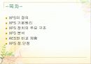 36 XPS 2페이지