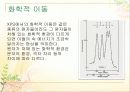 36 XPS 10페이지
