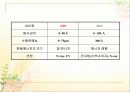 36 XPS 16페이지