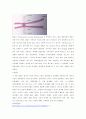 8주차 초파리 침샘 염색체의 관찰 3페이지