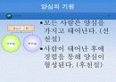 도덕정리 (바른 삶을 가리키는 나침반, 양심) 4페이지