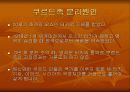 쿠르드 분리운동과 전망 5페이지