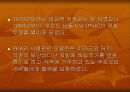 쿠르드 분리운동과 전망 8페이지