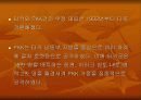 쿠르드 분리운동과 전망 11페이지