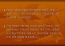 쿠르드 분리운동과 전망 13페이지