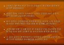쿠르드 분리운동과 전망 15페이지