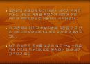 쿠르드 분리운동과 전망 16페이지