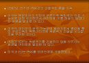 쿠르드 분리운동과 전망 18페이지