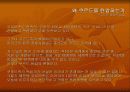 쿠르드 분리운동과 전망 22페이지