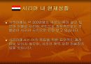 쿠르드 분리운동과 전망 26페이지