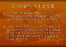 쿠르드 분리운동과 전망 27페이지