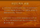 쿠르드 분리운동과 전망 29페이지