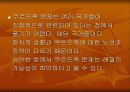 쿠르드 분리운동과 전망 31페이지