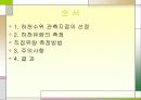[수문학] 하천유량측정 1페이지