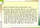 [수문학] 하천유량측정 20페이지