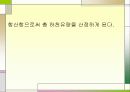 [수문학] 하천유량측정 21페이지