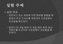 각운동량의 보존 3페이지