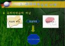 [오수벨유의미학습이론 PPT발표자료] 오수벨의 유의미학습이론의 이해-개념, 분석- 4페이지