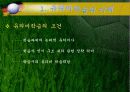[오수벨유의미학습이론 PPT발표자료] 오수벨의 유의미학습이론의 이해-개념, 분석- 6페이지