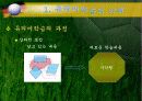 [오수벨유의미학습이론 PPT발표자료] 오수벨의 유의미학습이론의 이해-개념, 분석- 11페이지