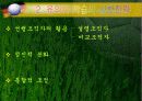 [오수벨유의미학습이론 PPT발표자료] 오수벨의 유의미학습이론의 이해-개념, 분석- 13페이지