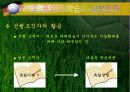 [오수벨유의미학습이론 PPT발표자료] 오수벨의 유의미학습이론의 이해-개념, 분석- 14페이지