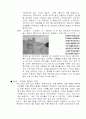 사회적 관광자원 6페이지
