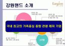 강원랜드 3페이지