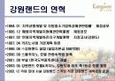 강원랜드 5페이지