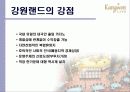 강원랜드 6페이지