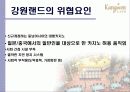 강원랜드 8페이지