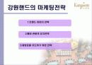 강원랜드 10페이지